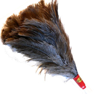 Feather Duster No 9 Plastic Handle