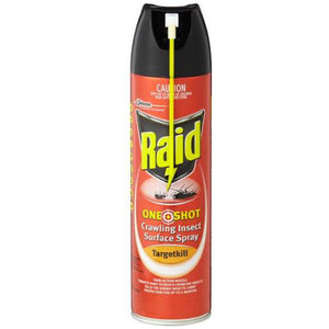 Raid One Shot Crawling Insect Surface Spray 320g